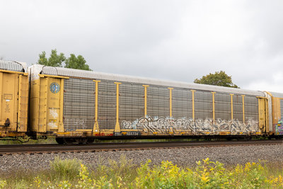 TTGX 986734