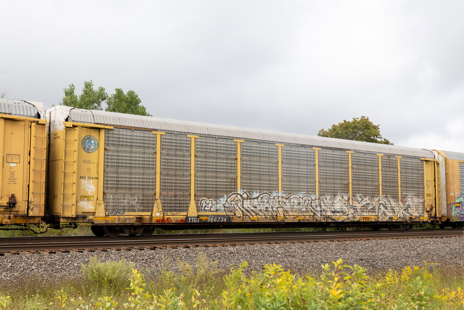 TTGX 986734