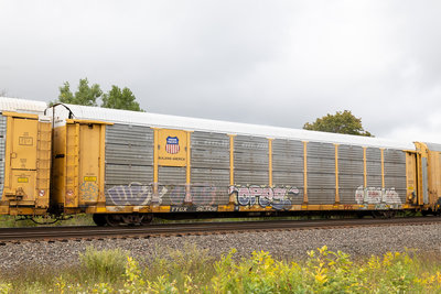 TTGX 963106