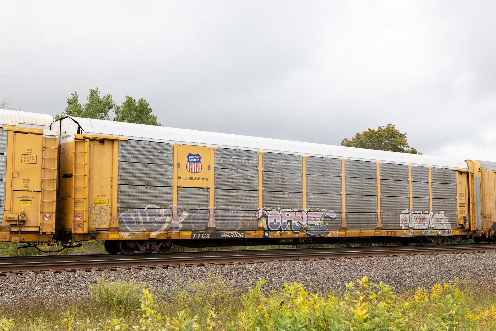 TTGX 963106