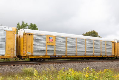 TTGX 991874
