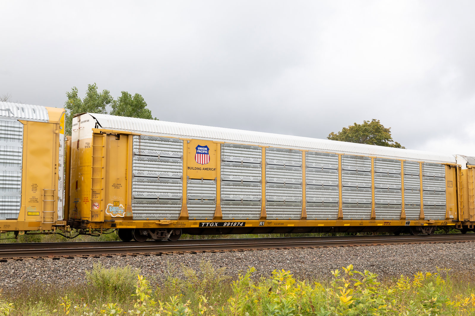 TTGX 991874