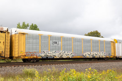 TTGX 975379