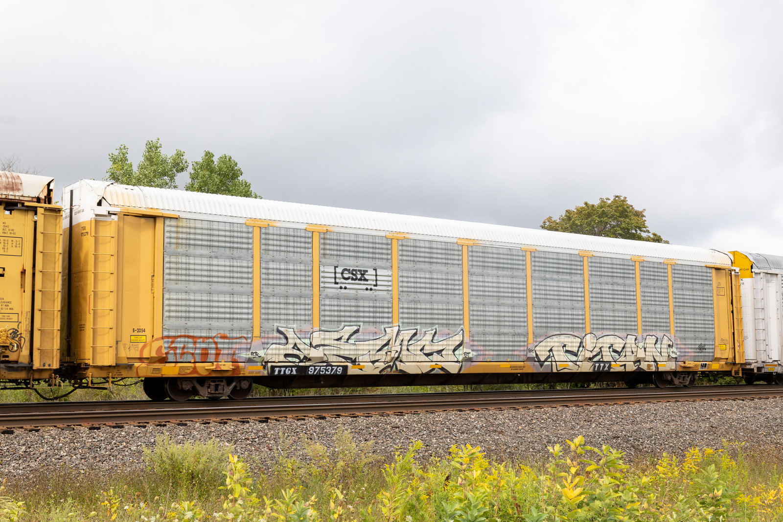 TTGX 975379