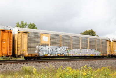 TTGX 987619