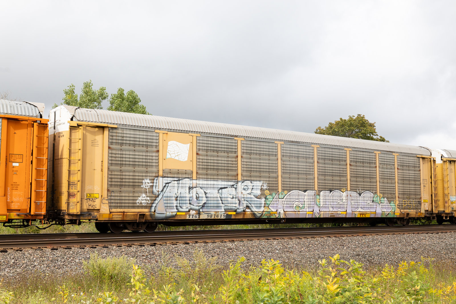 TTGX 987619