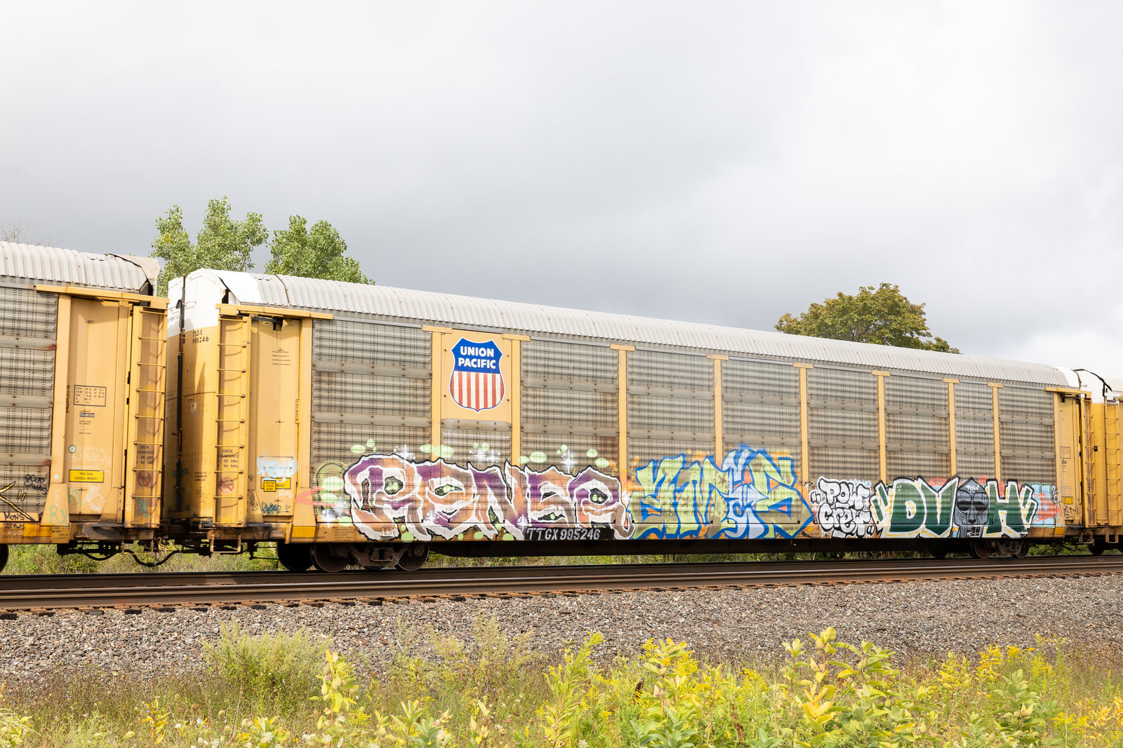 TTGX 995246