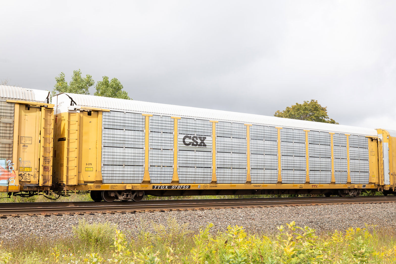 TTGX 978759