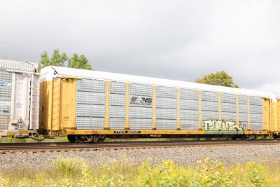 TTGX 922137