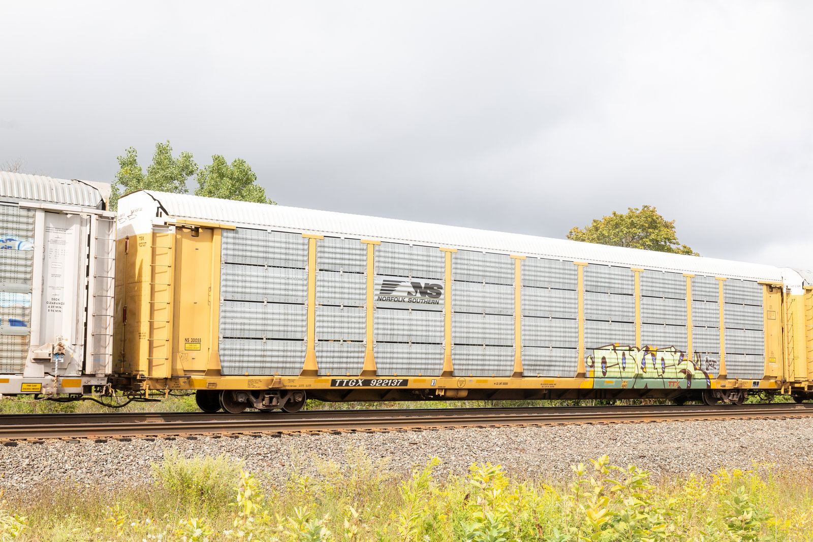 TTGX 922137