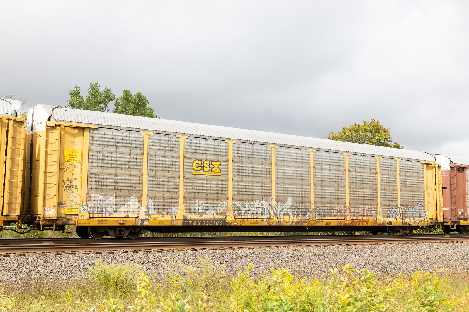 TTGX 996109