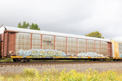 TTGX 974483