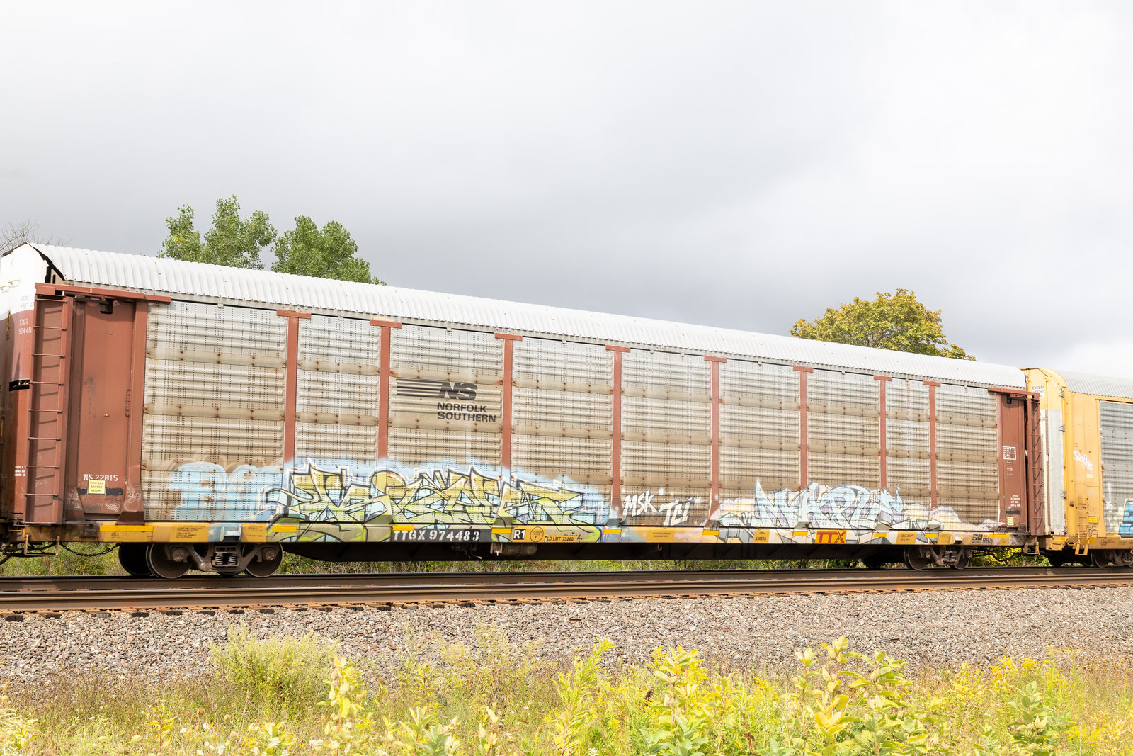 TTGX 974483