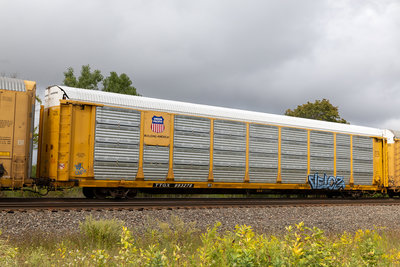 TTGX 993278