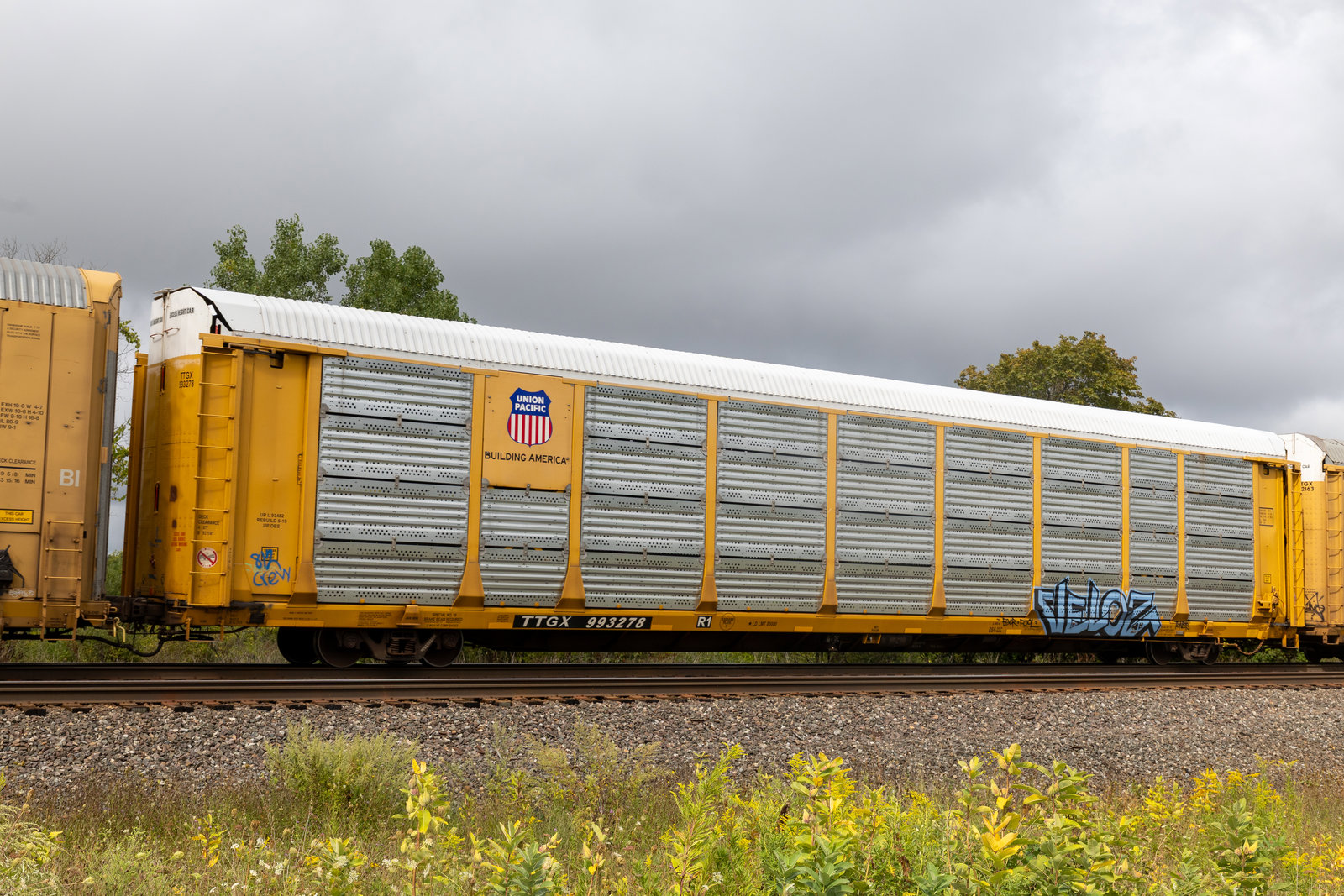 TTGX 993278