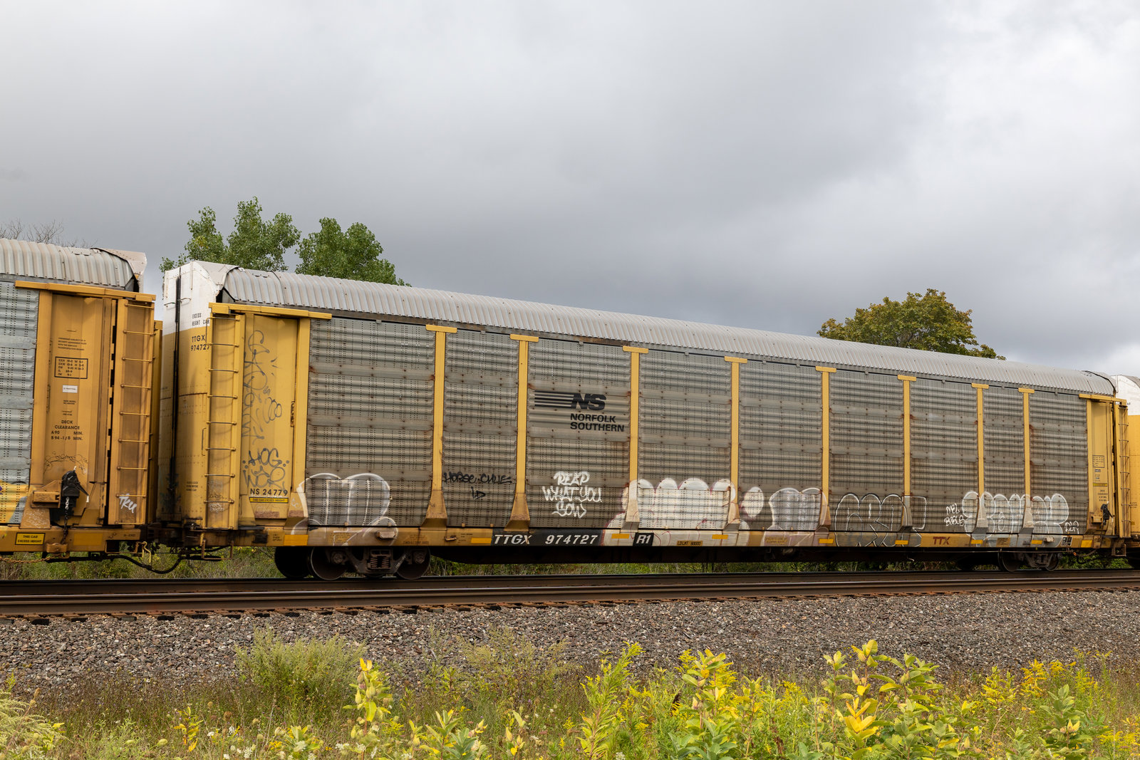 TTGX 974727