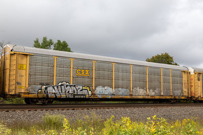 TTGX 922164