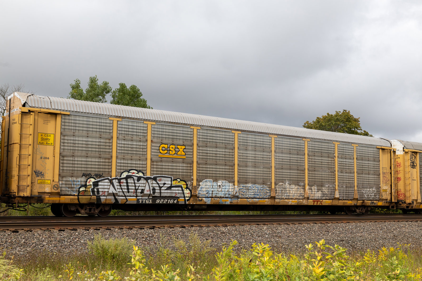 TTGX 922164
