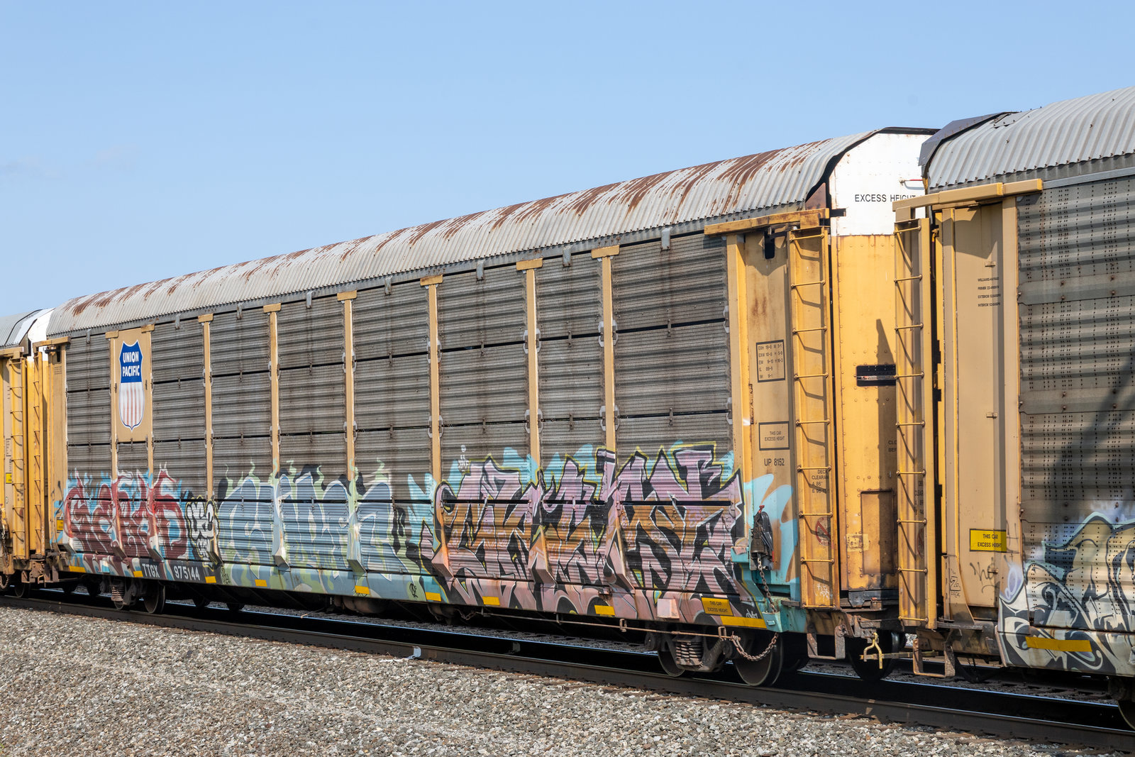 TTGX 975144