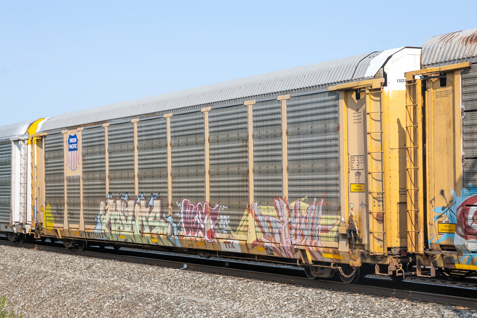 TTGX 986559