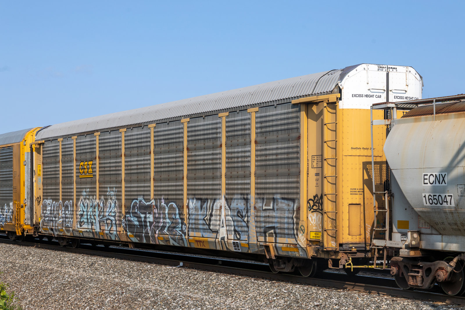 TTGX 988026