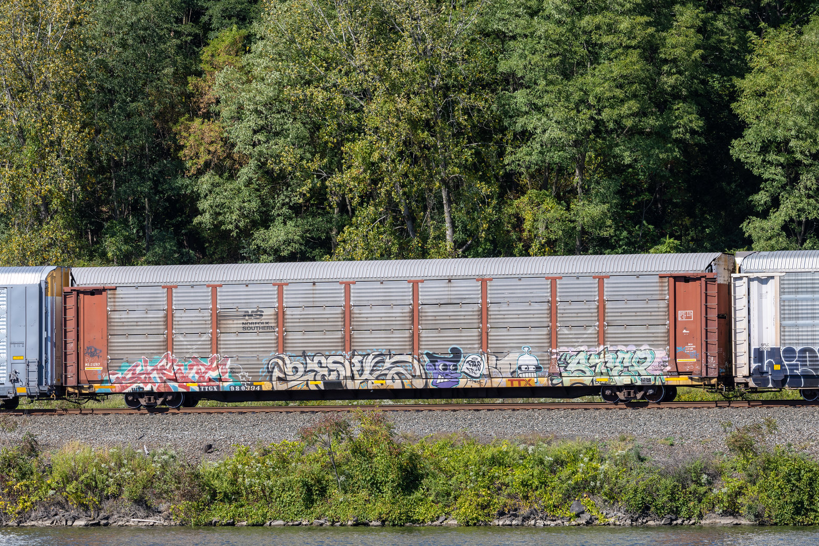 TTGX 980394
