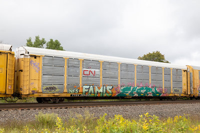 TTGX 255422
