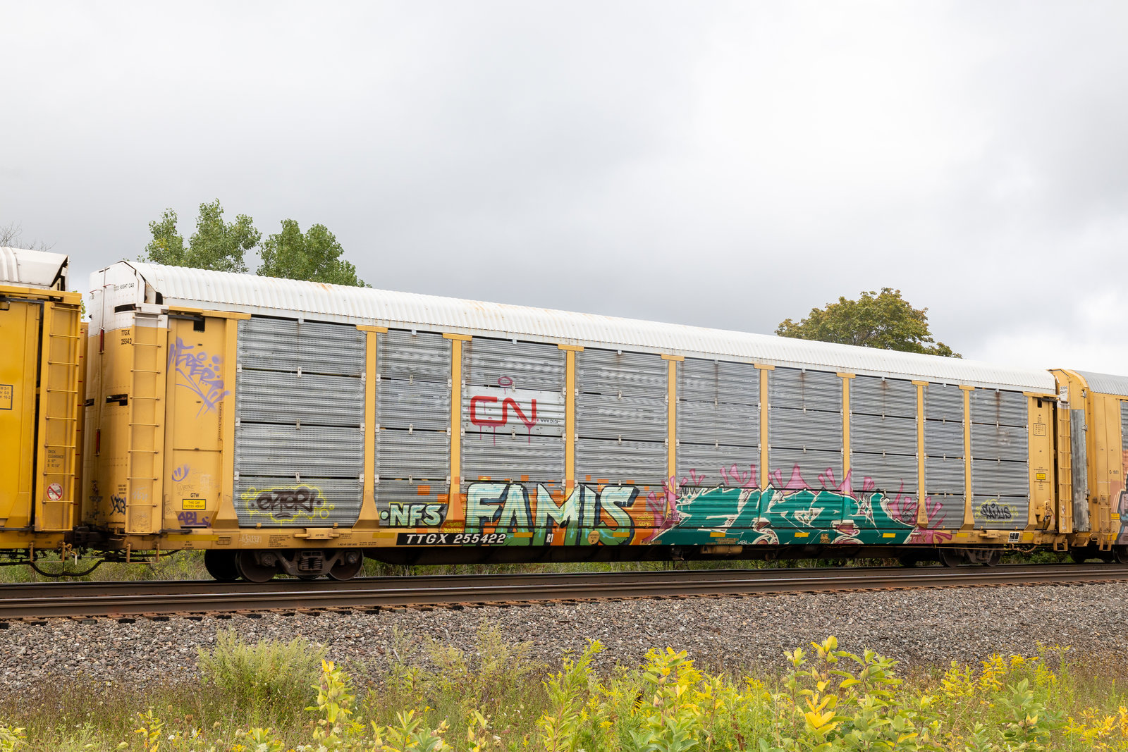 TTGX 255422