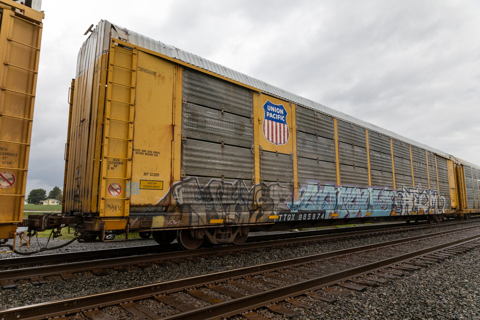 TTGX 965674
