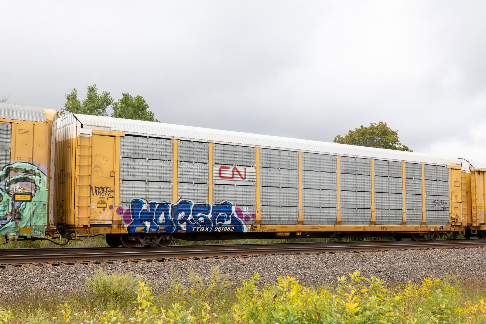 TTGX 691882