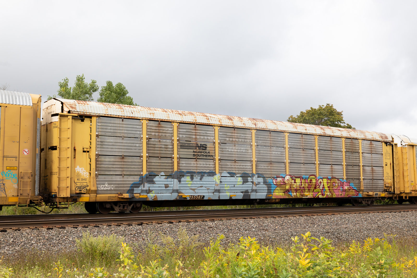 TTGX 255567