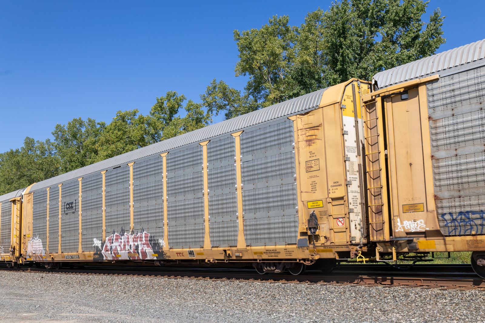 TTGX 715929