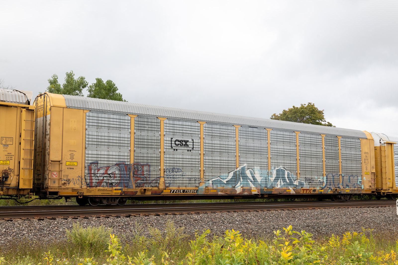 TTGX 715914