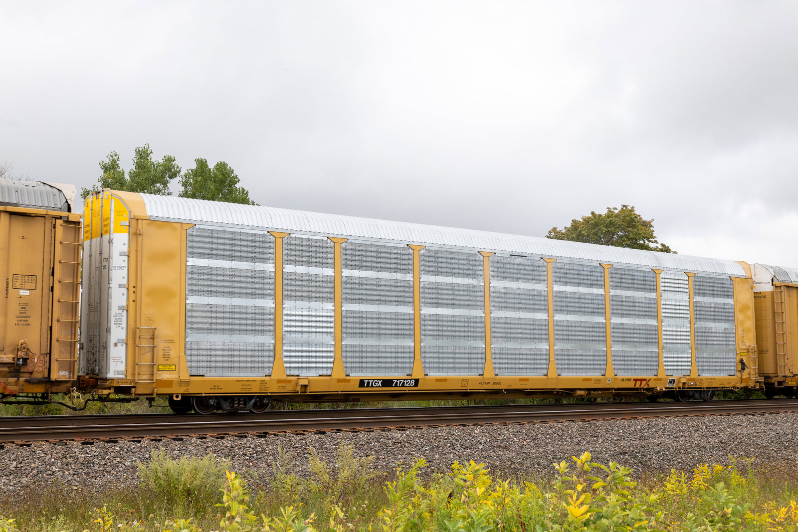 TTGX 717128