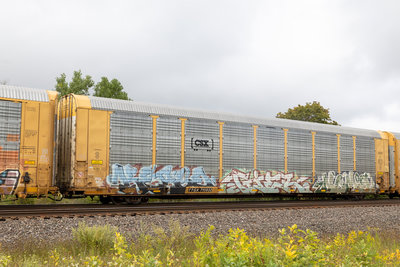 TTGX 715932