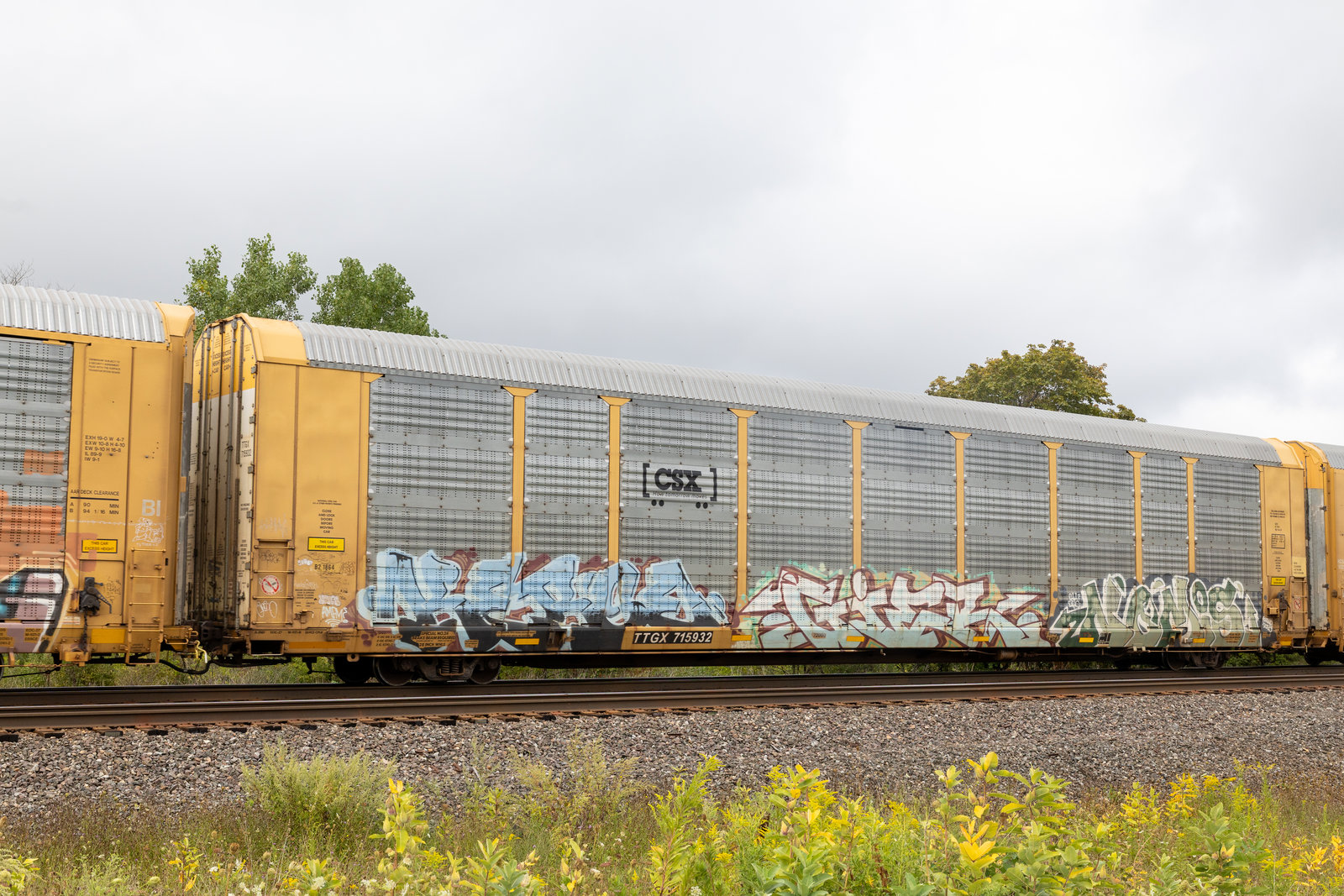 TTGX 715932