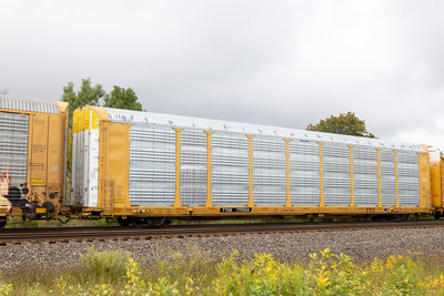 TTGX 717034