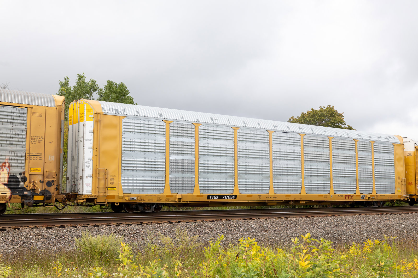 TTGX 717034