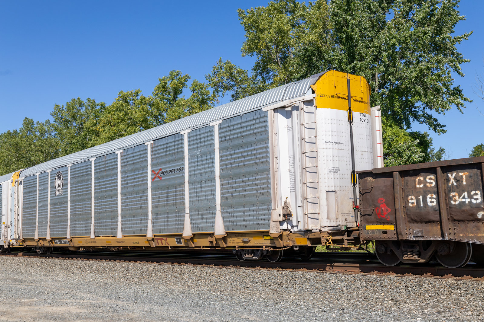 TTGX 709135