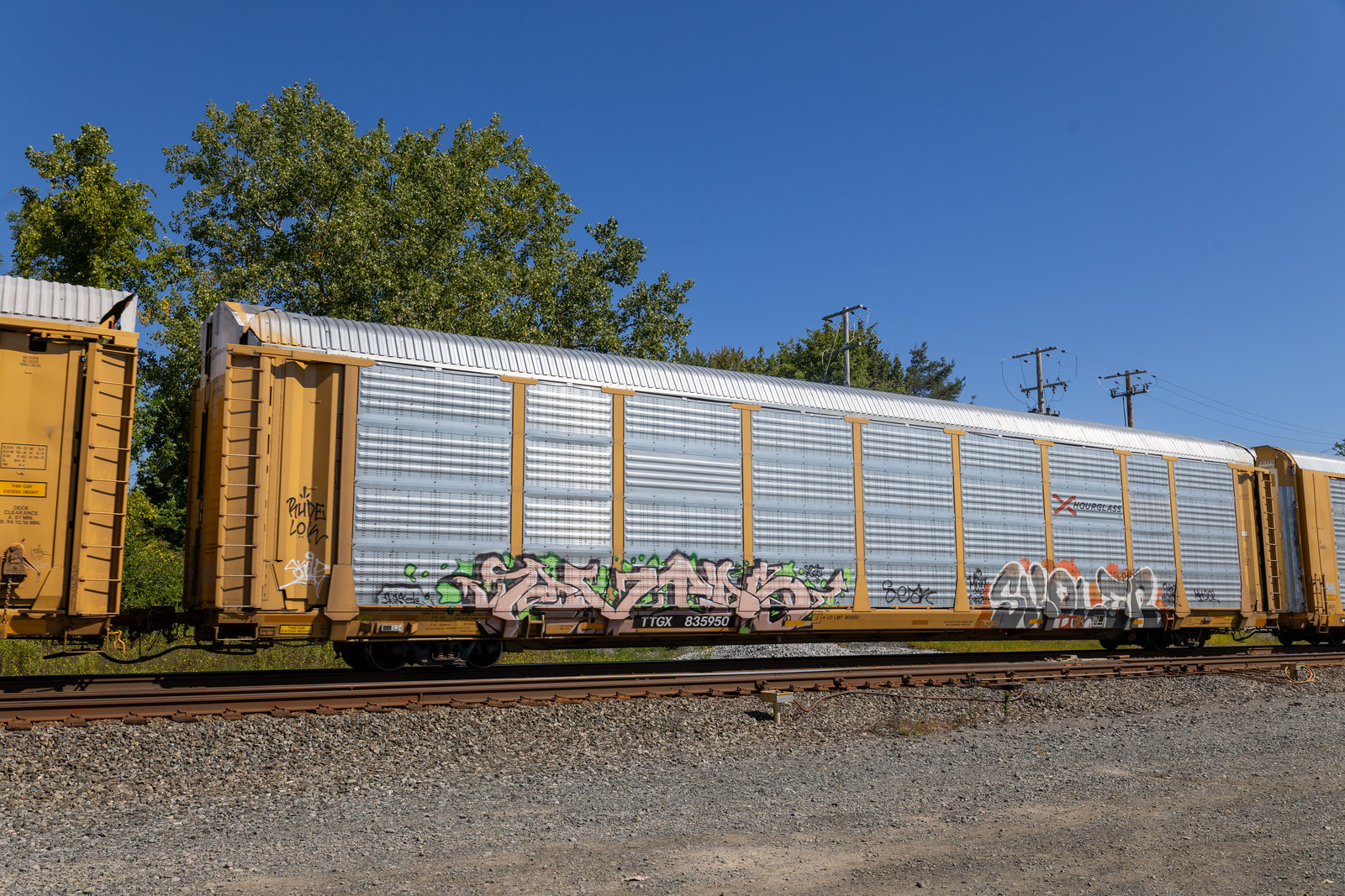 TTGX 835950