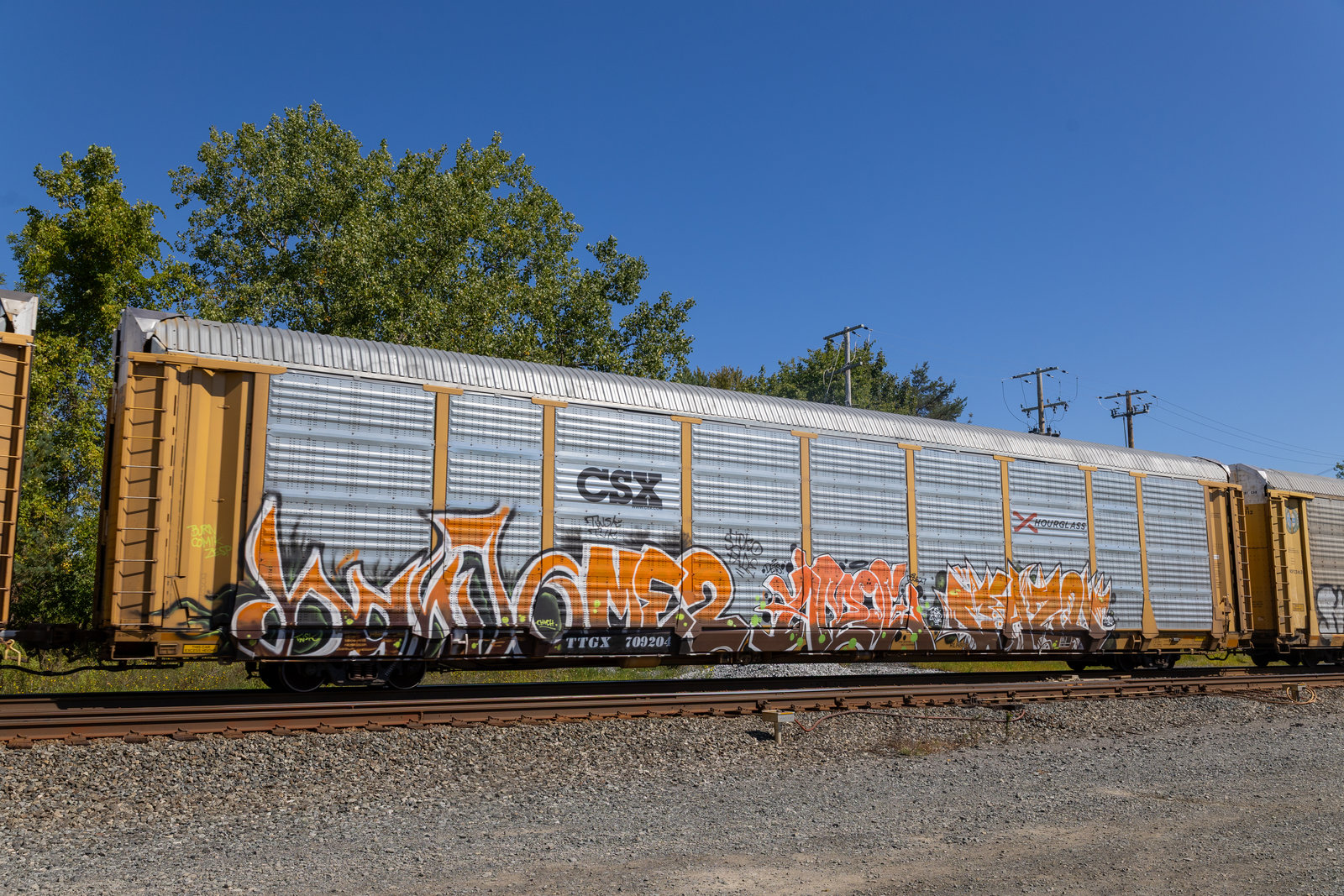 TTGX 709204
