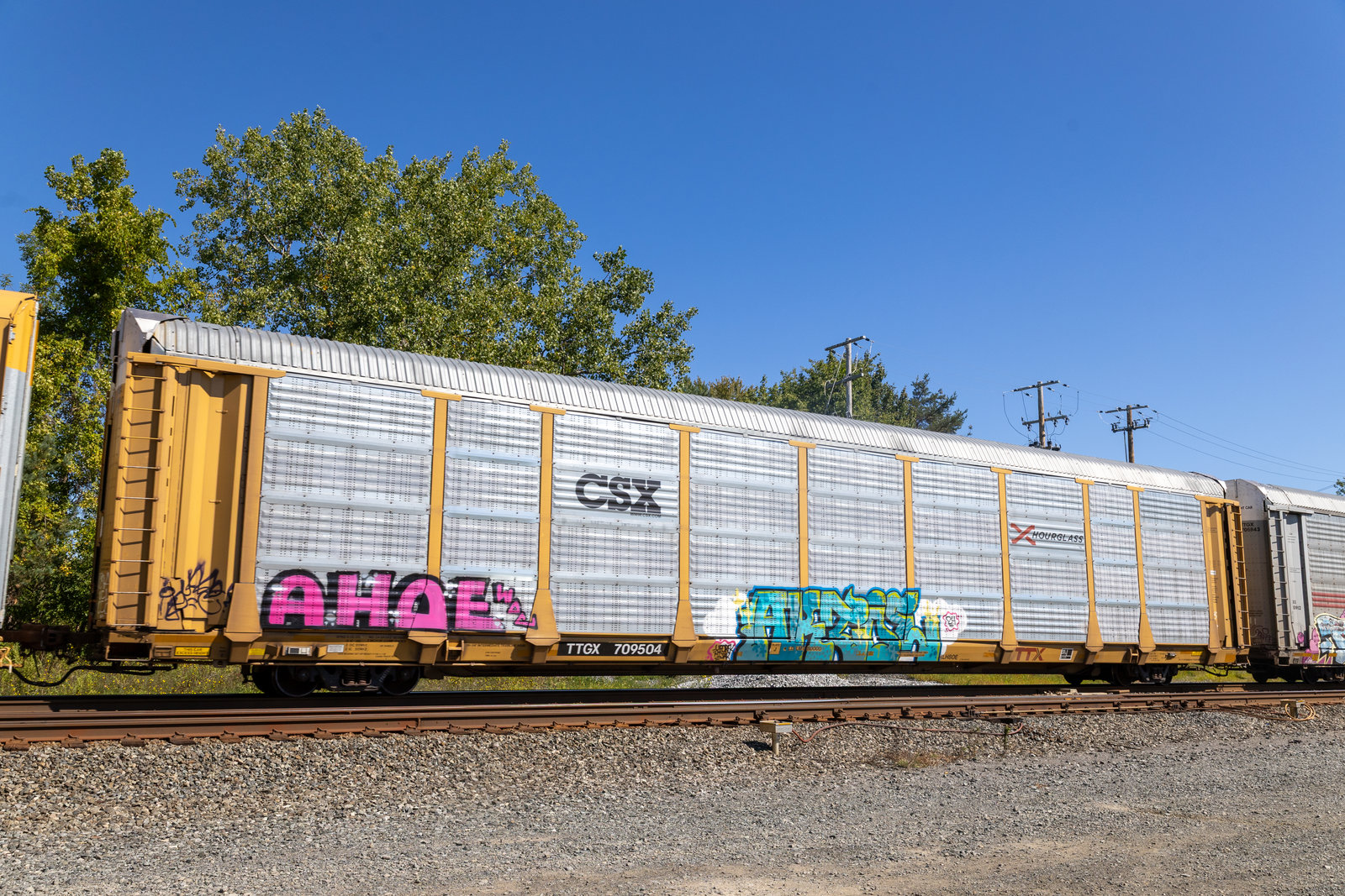 TTGX 709504