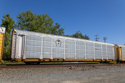 TTGX 709173