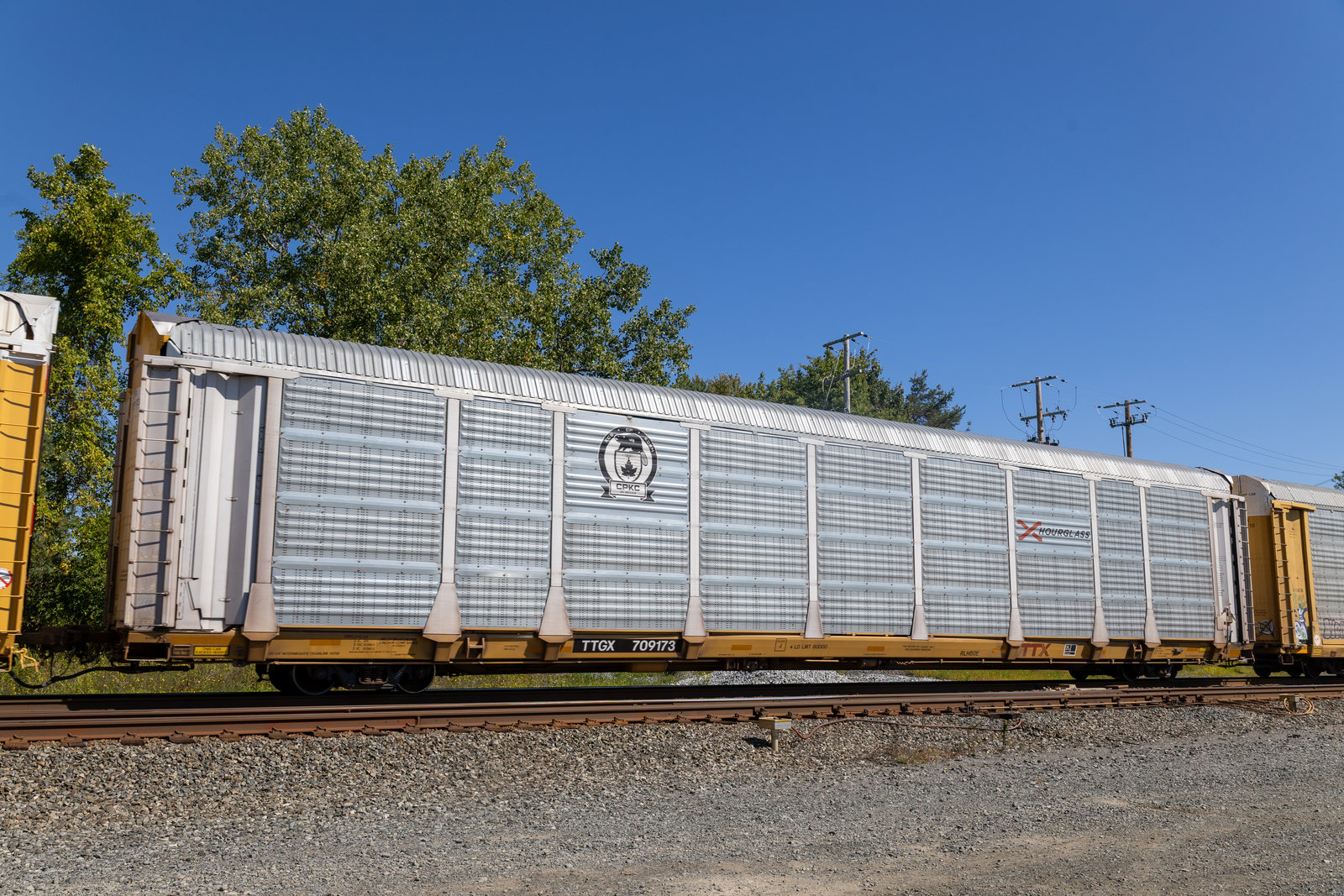 TTGX 709173