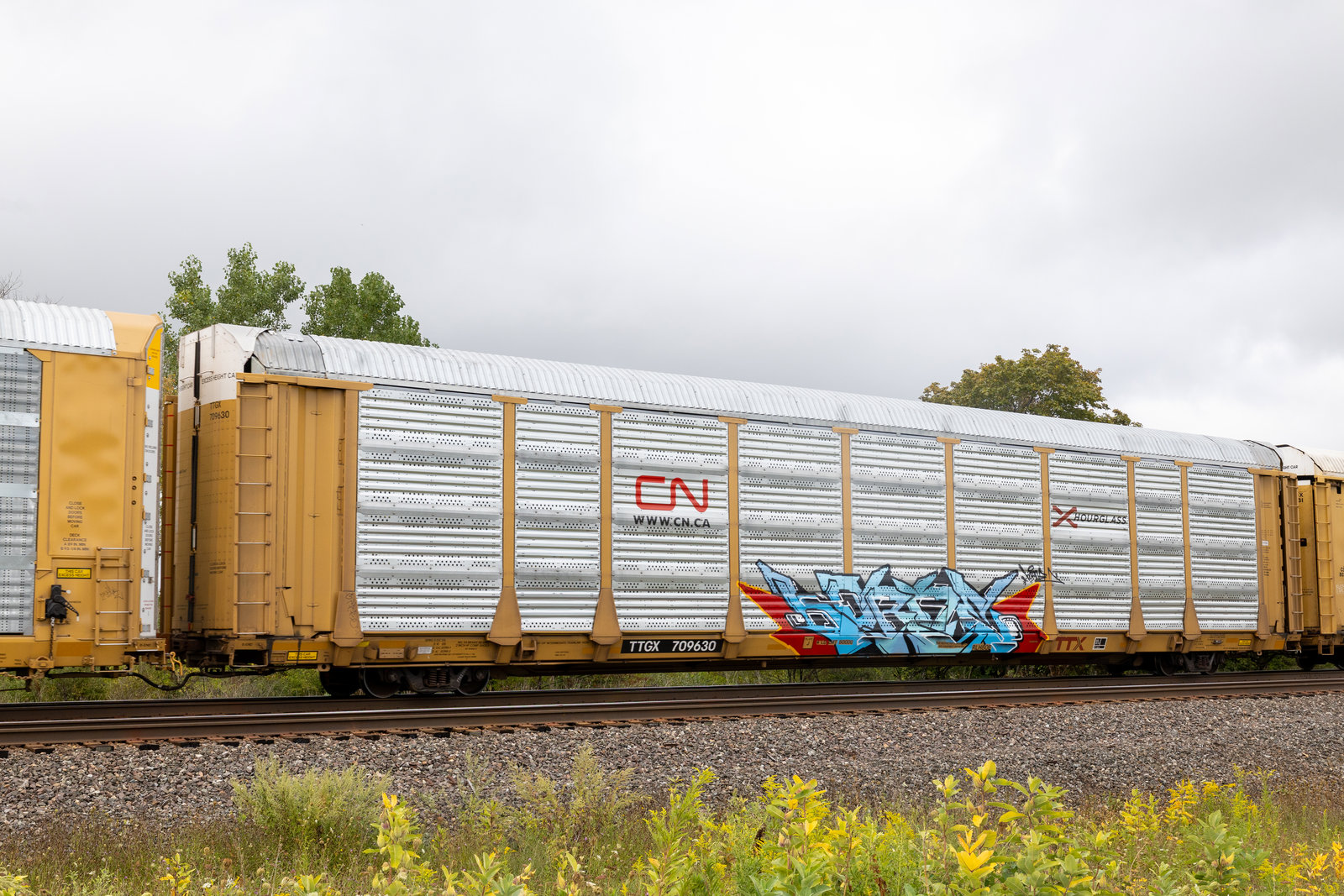 TTGX 709630