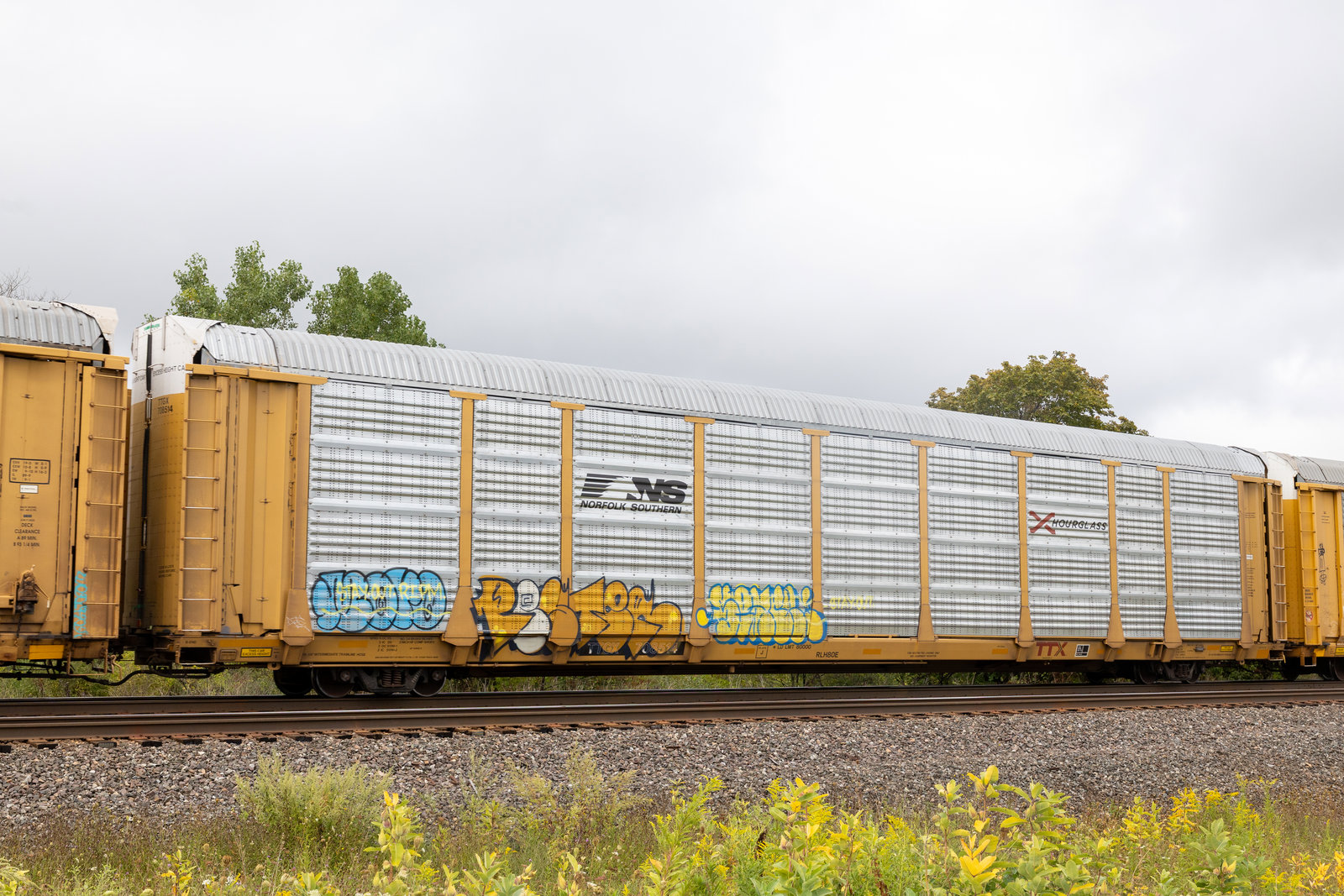 TTGX 708514
