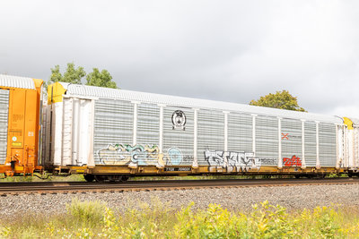TTGX 709031