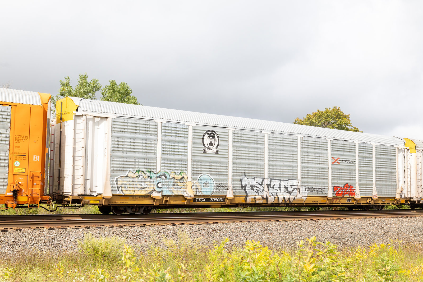 TTGX 709031