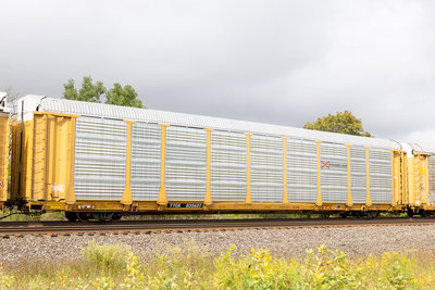 TTGX 835627