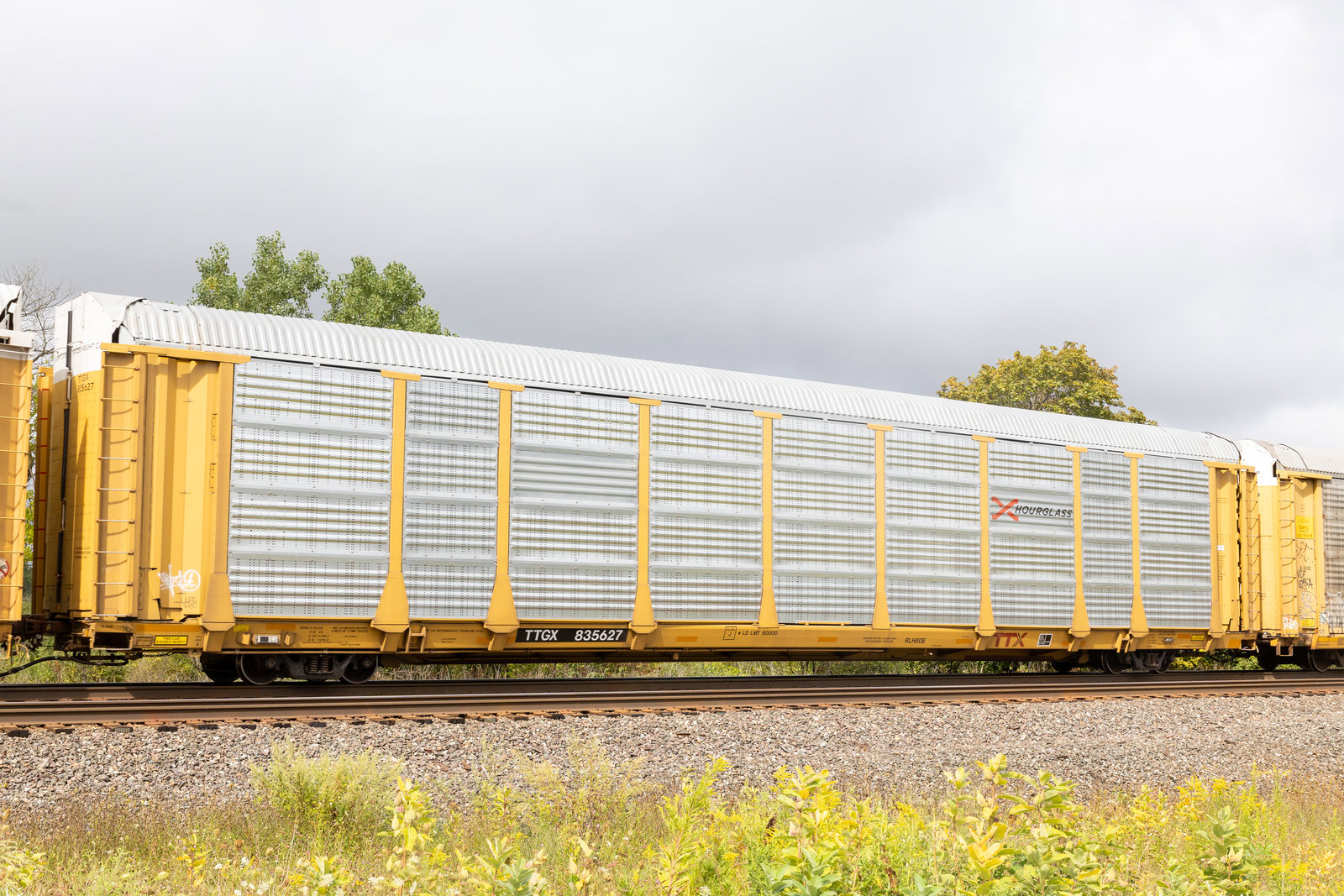 TTGX 835627